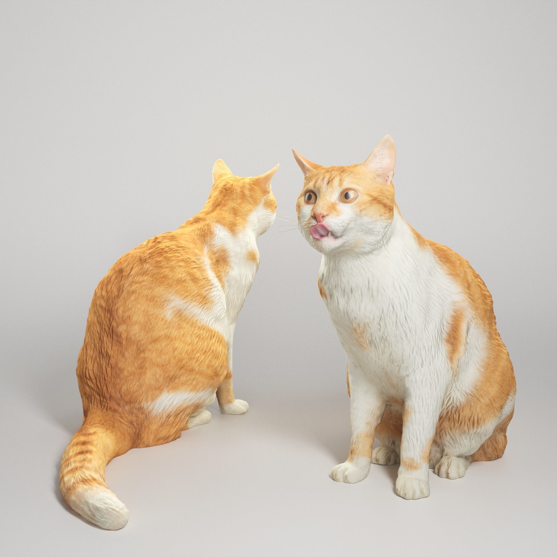 Red cat 21 Low-poly 3D model_1