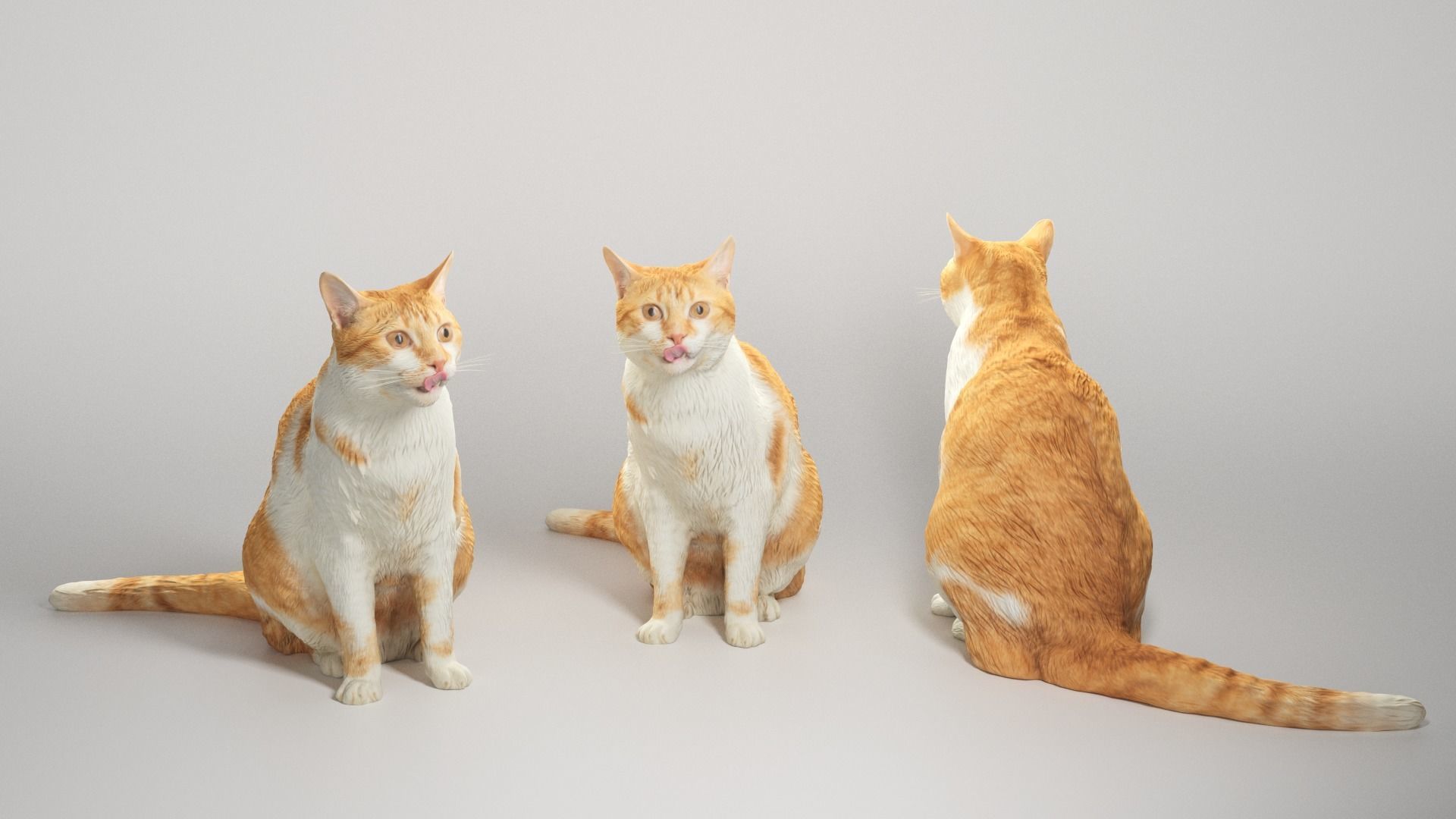 Red cat 21 Low-poly 3D model_2