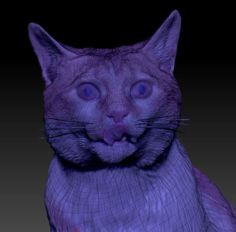 Red cat 21 Low-poly 3D model_5