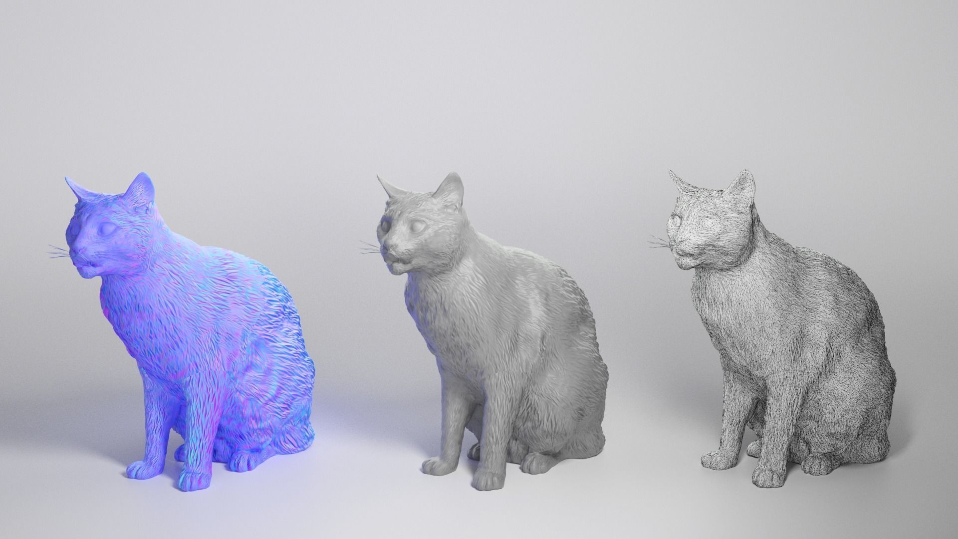 Red cat 21 Low-poly 3D model_3