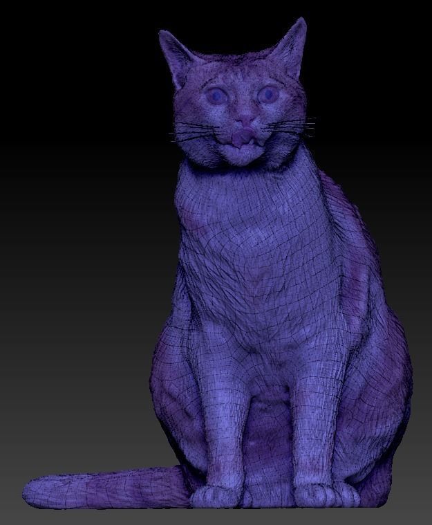 Red cat 21 Low-poly 3D model_4