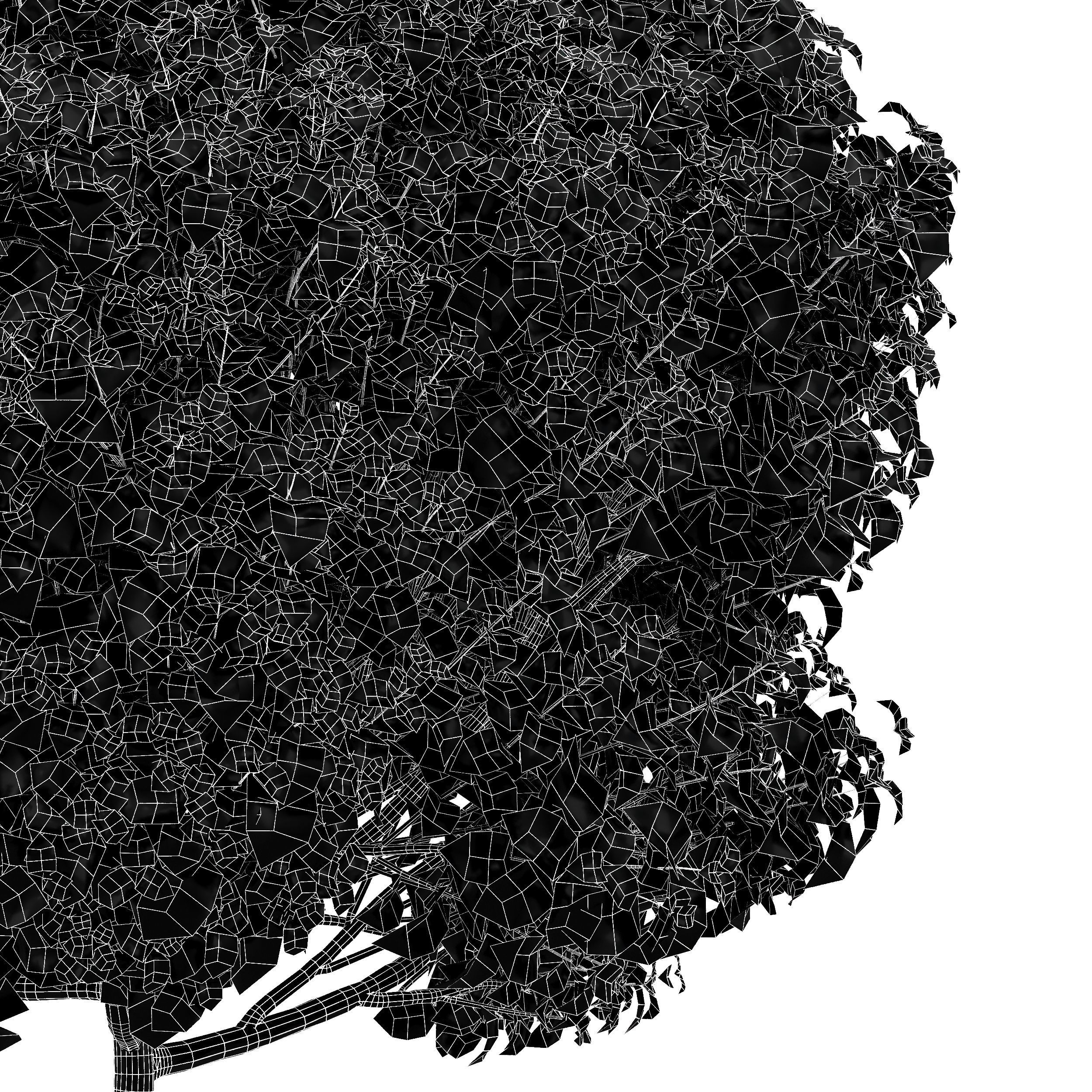 Catalpa Bignonioides Nana Indian Bean 3Trees 3D model_4