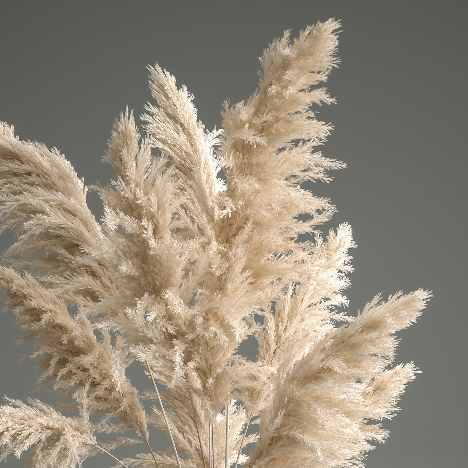 Bouquet of dried white reeds in a Vase 145 3D model_3