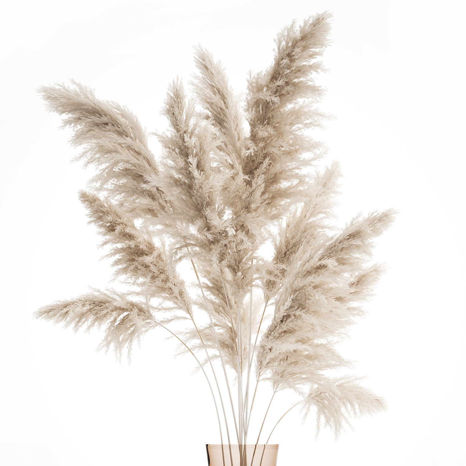 Bouquet of dried white reeds in a Vase 145 3D model_8