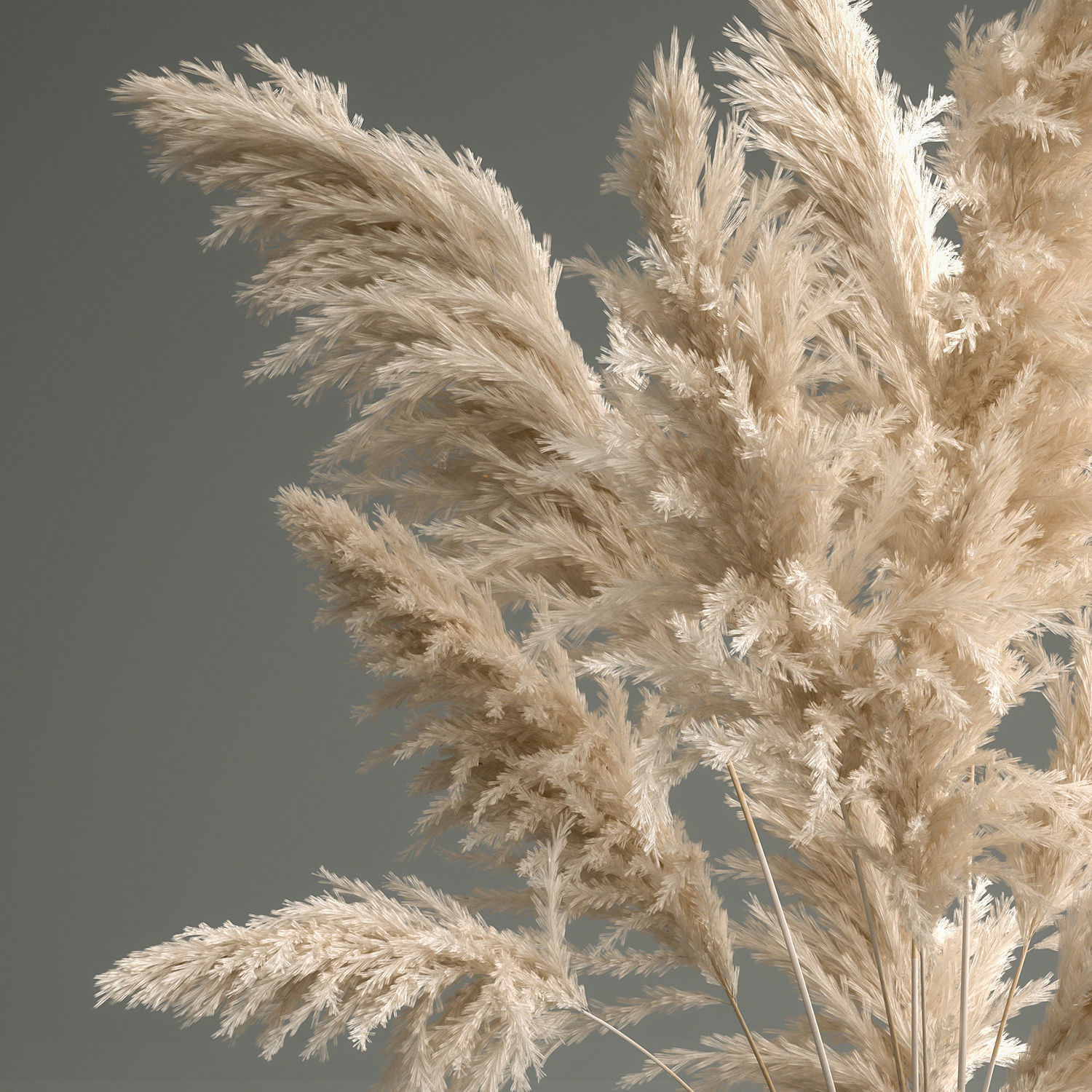 Bouquet of dried white reeds in a Vase 145 3D model_5