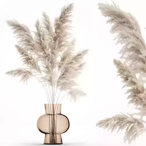 Bouquet of dried white reeds in a Vase 145 3D model