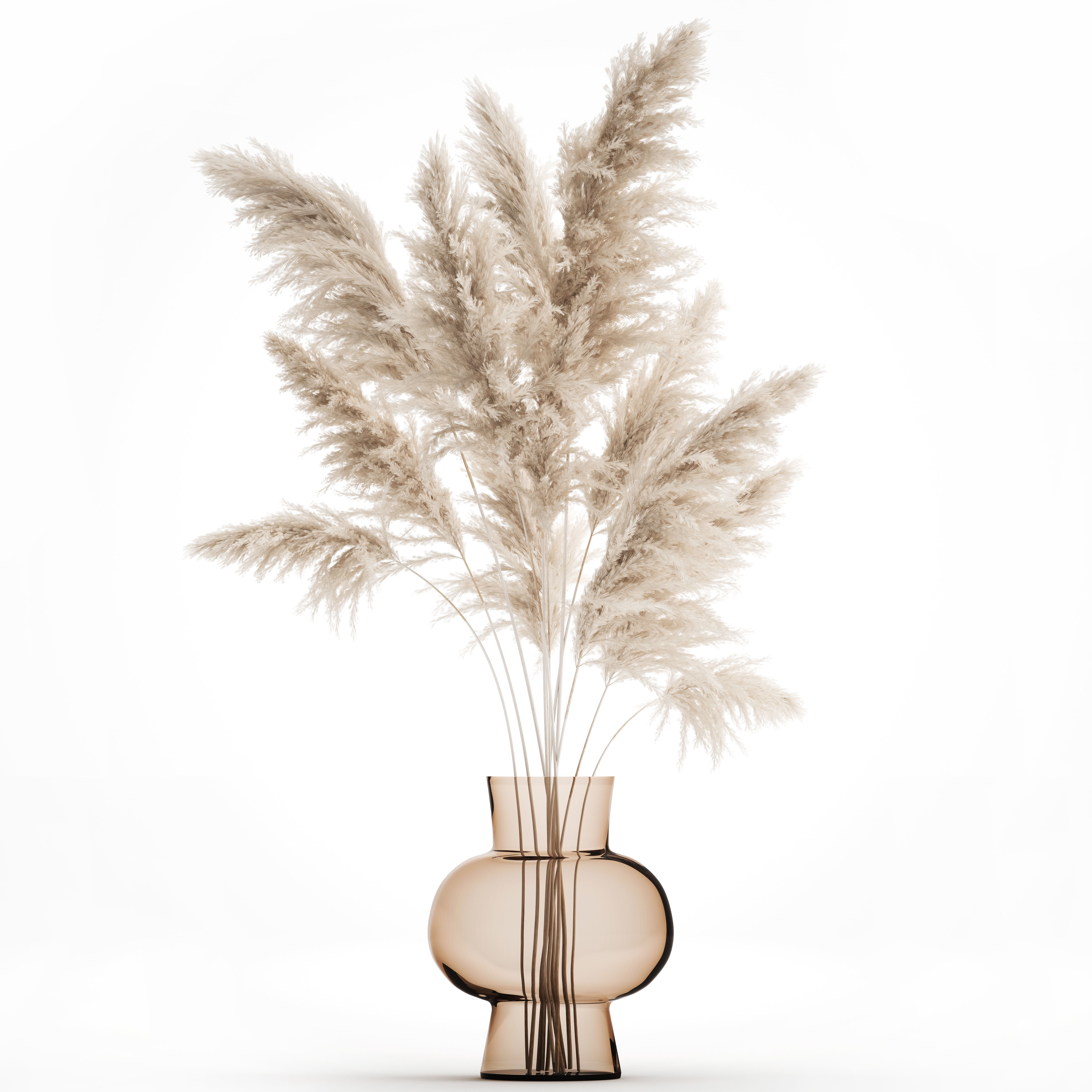 Bouquet of dried white reeds in a Vase 145 3D model_1