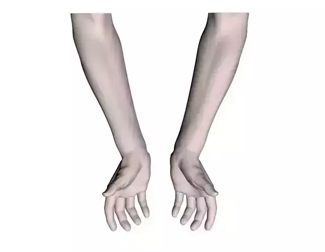 Cupped hands and arm