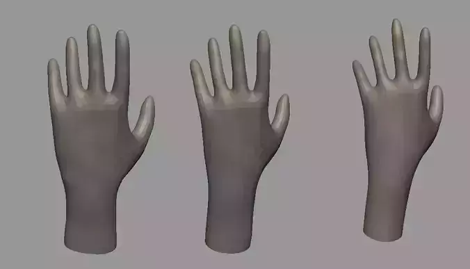 Low Poly hand female male
