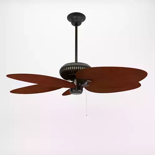 Vintage Ceiling Fan