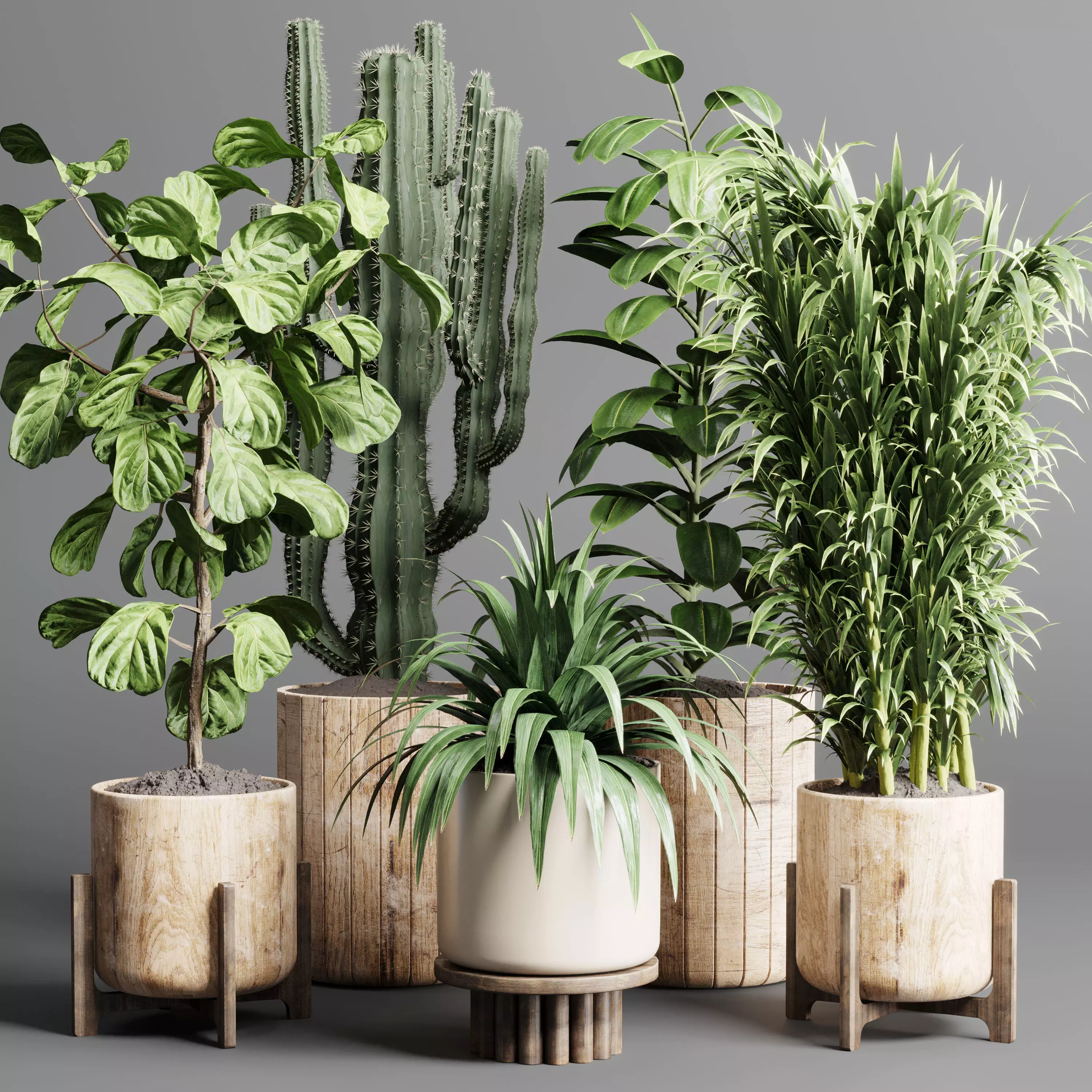 wood vase pot tree bush cactus fern plam ficus rubbery 3D model