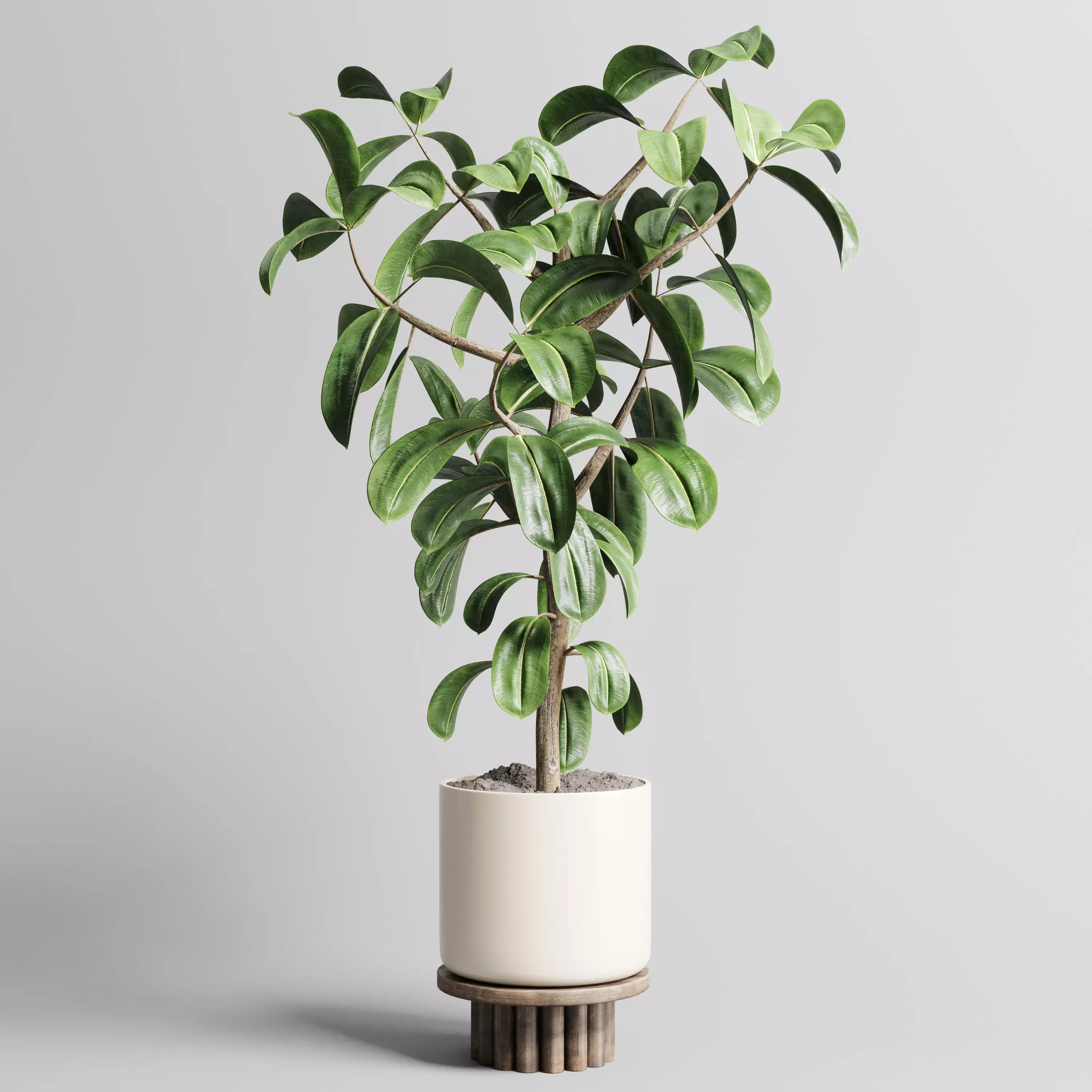 Indoor outdoor plant 106 wood vase pot ficus-rubbery 3D model
