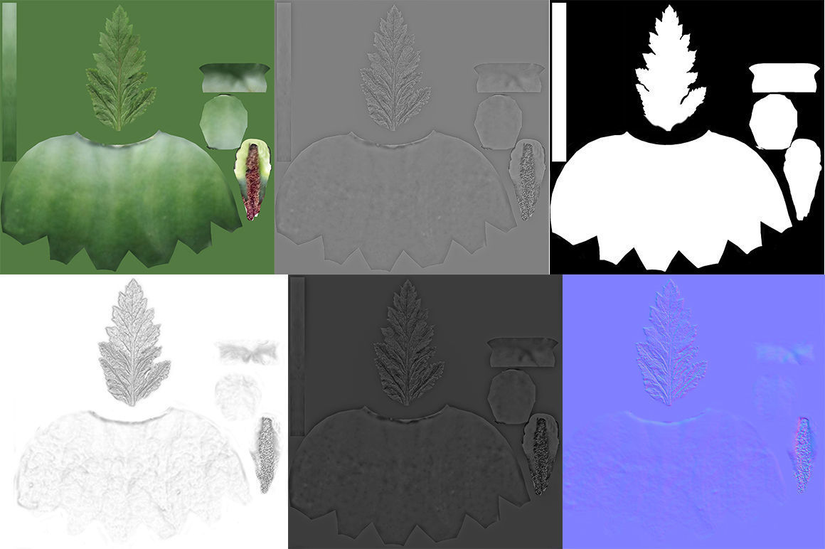 Poppy flower 3D model_7