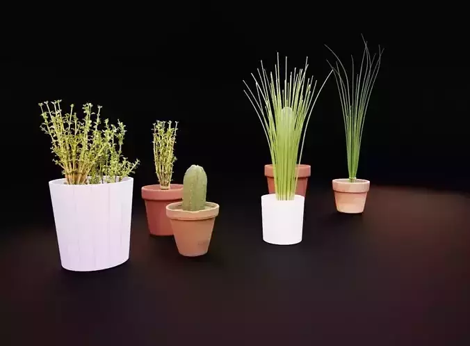 photo realistic 3d plants 