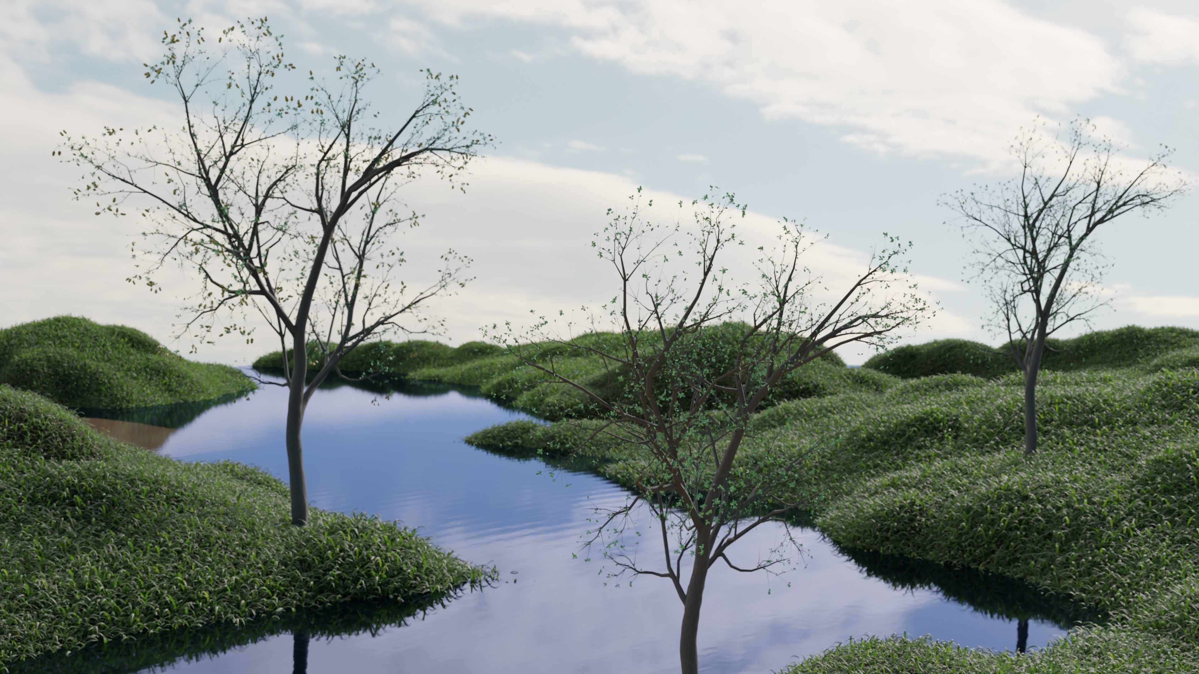  Oak tree change of seasons 3D model_5