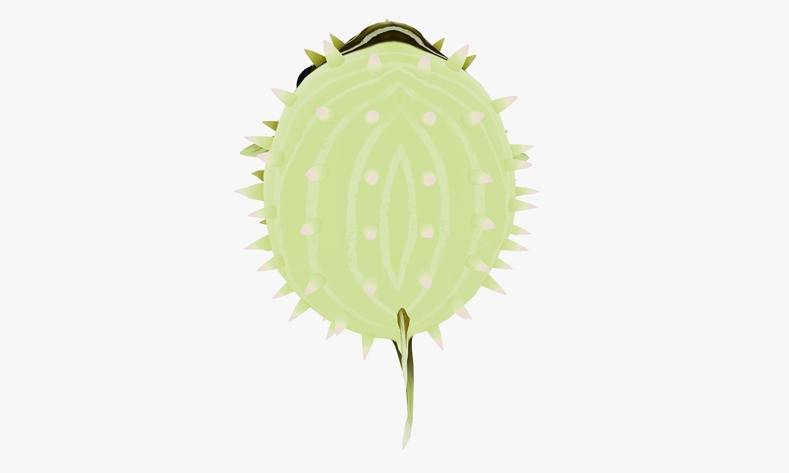 animated pufferfish Low-poly 3D model_7