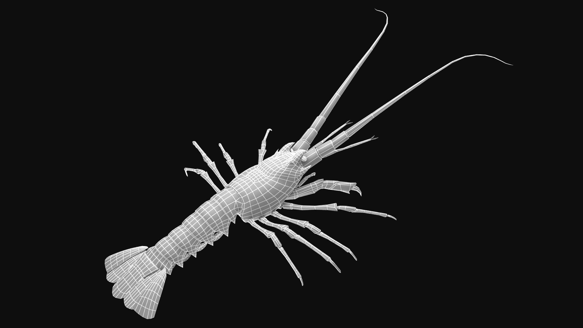 animated lobster Low-poly 3D model_3