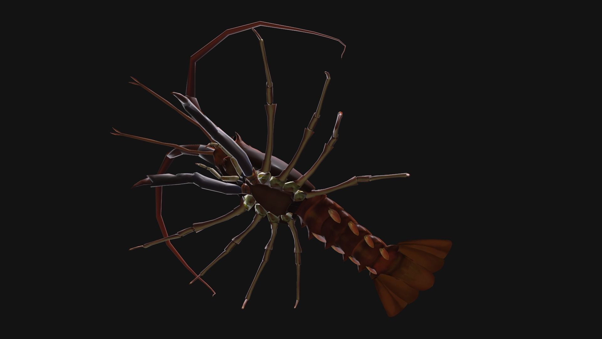 animated lobster Low-poly 3D model_7