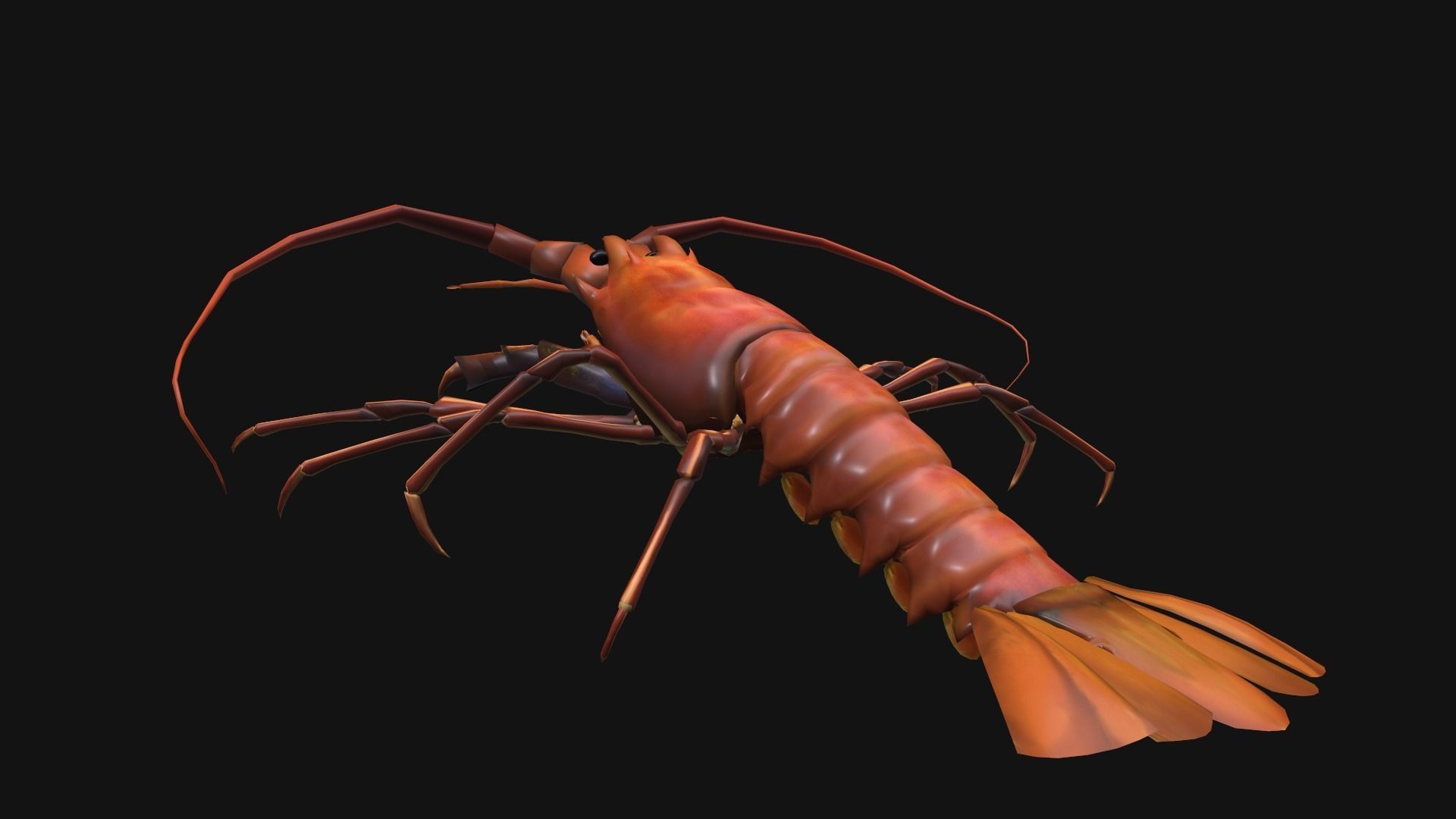 animated lobster Low-poly 3D model_8