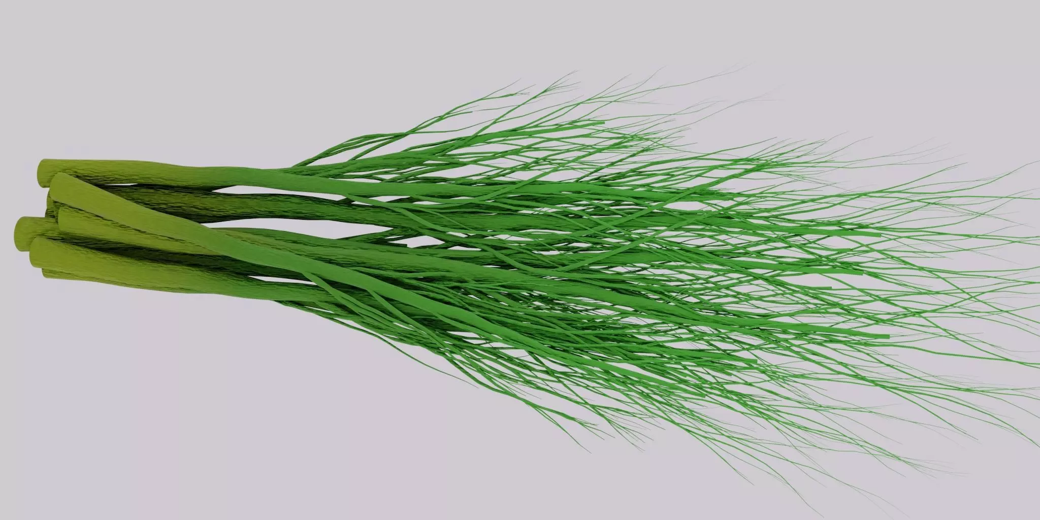 Dill greens 3D model