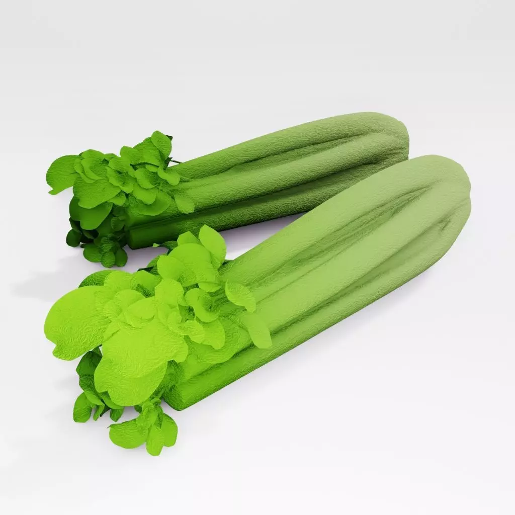 Celery two stalks 3D model_0