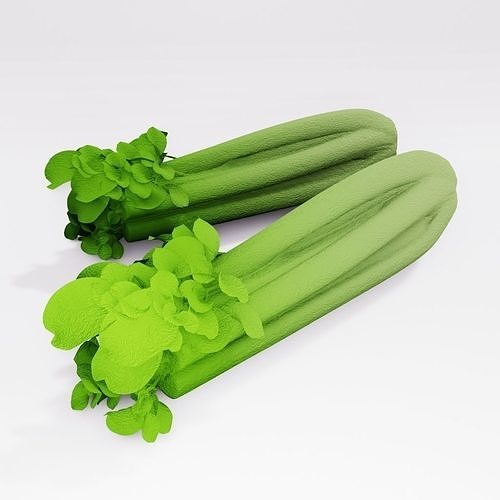 Celery two stalks 3D model