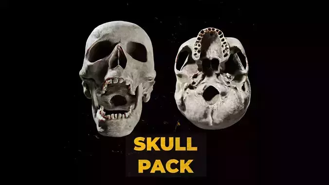 Human Skull Pack - Free Sample