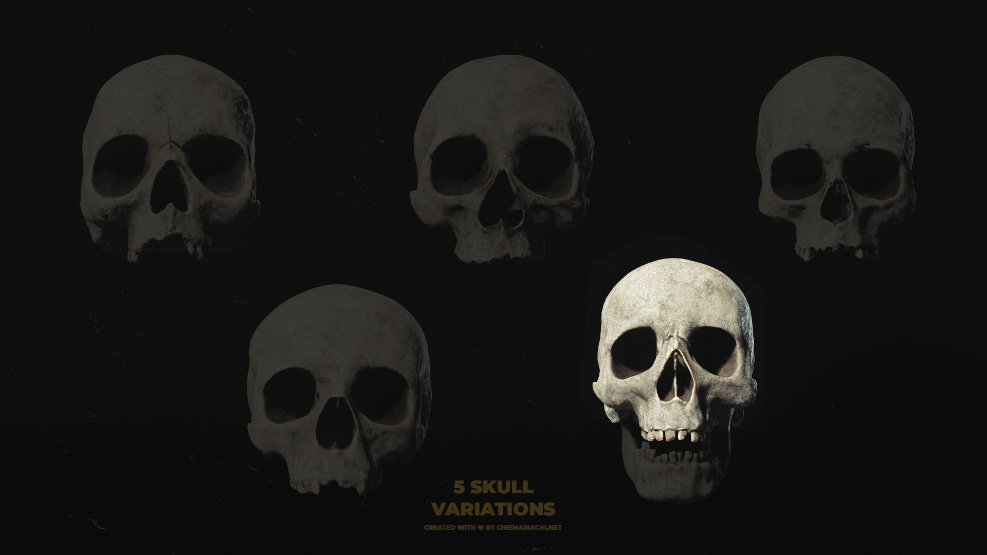 Human Skull Pack - Free Sample Free 3D model_2