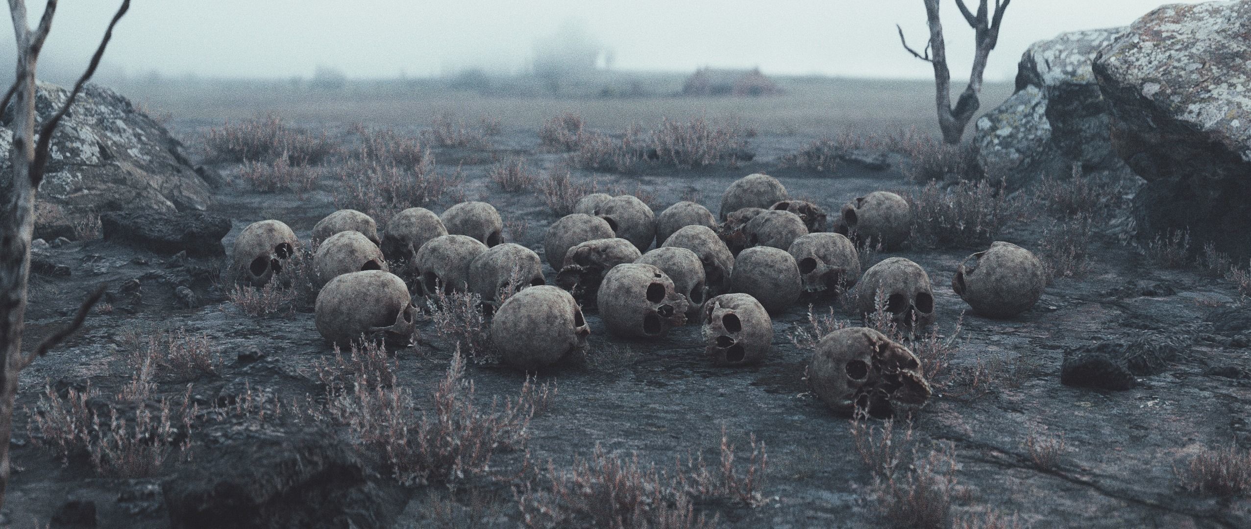 Human Skull Pack - Free Sample Free 3D model_6