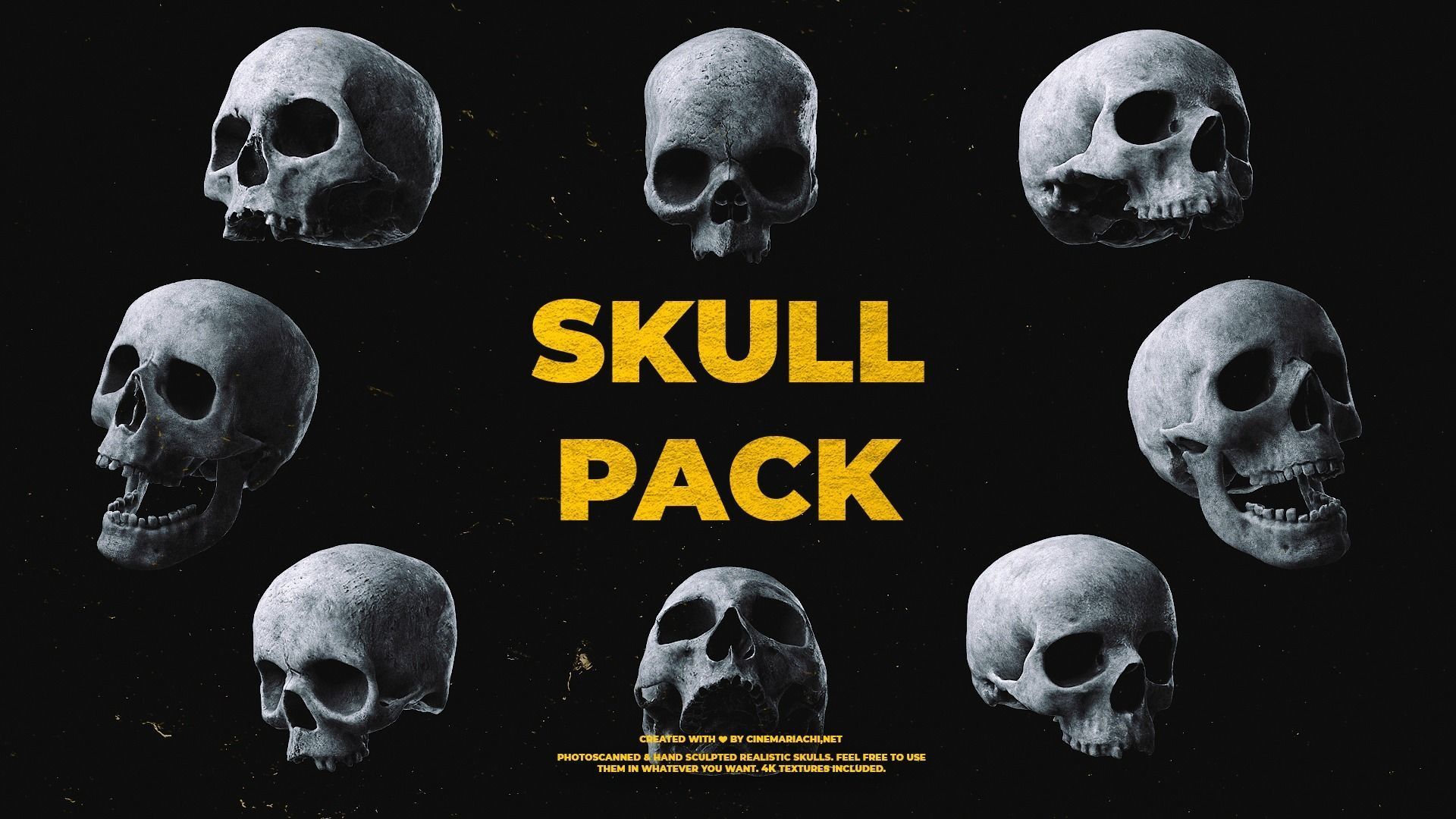Human Skull Pack - Free Sample Free 3D model_1