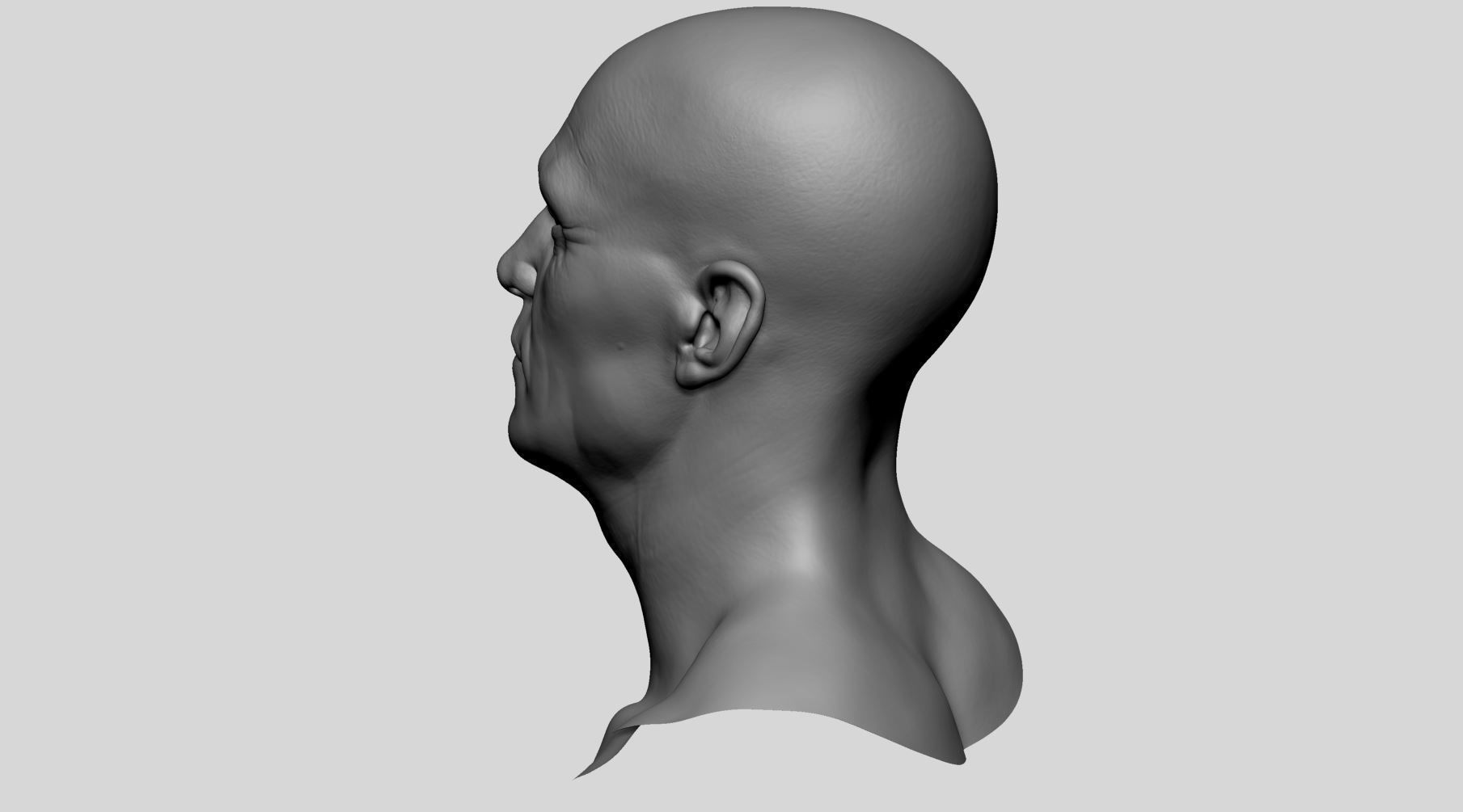 Male Head v6 3D model_8