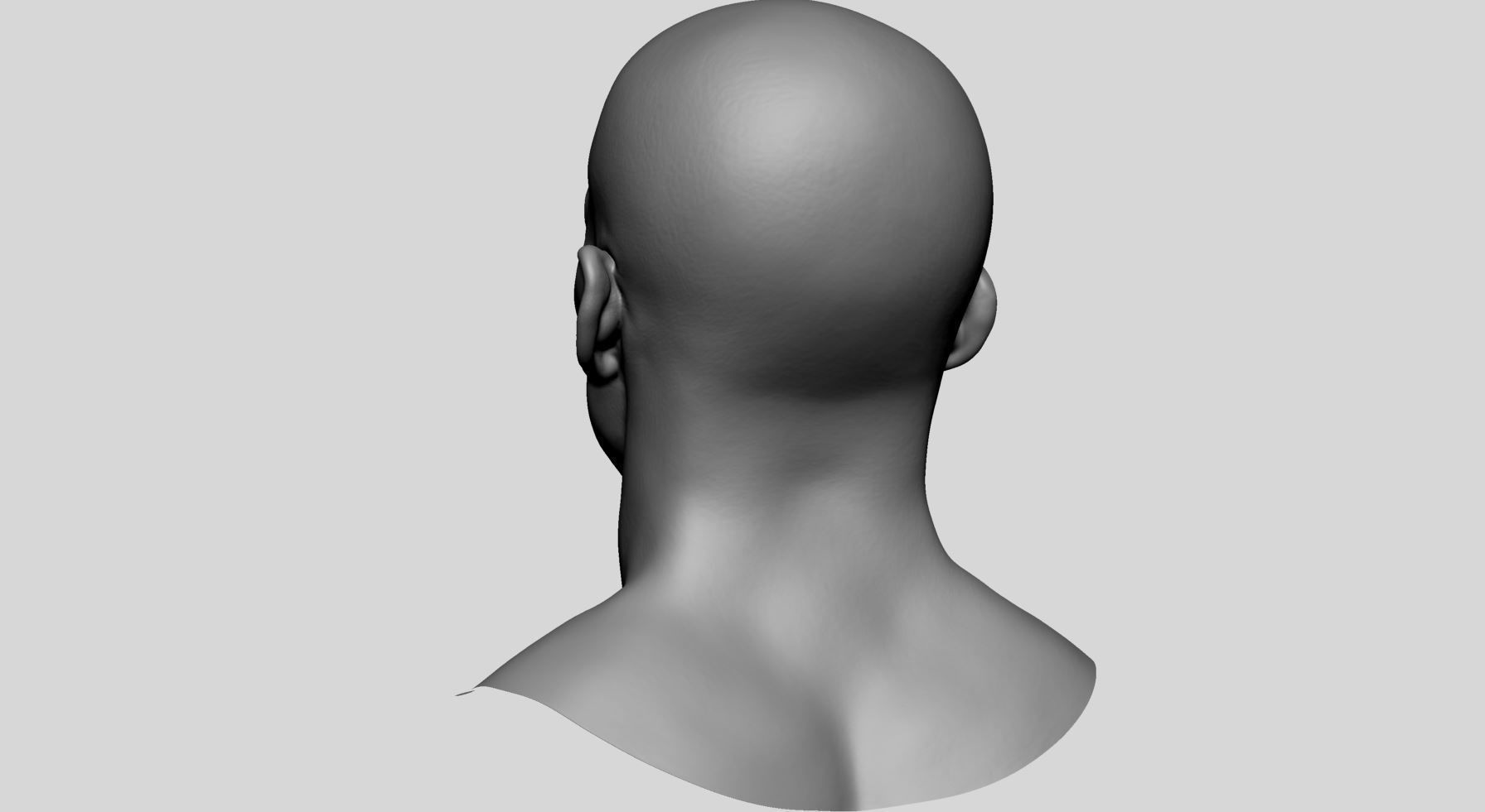 Male Head v6 3D model_7