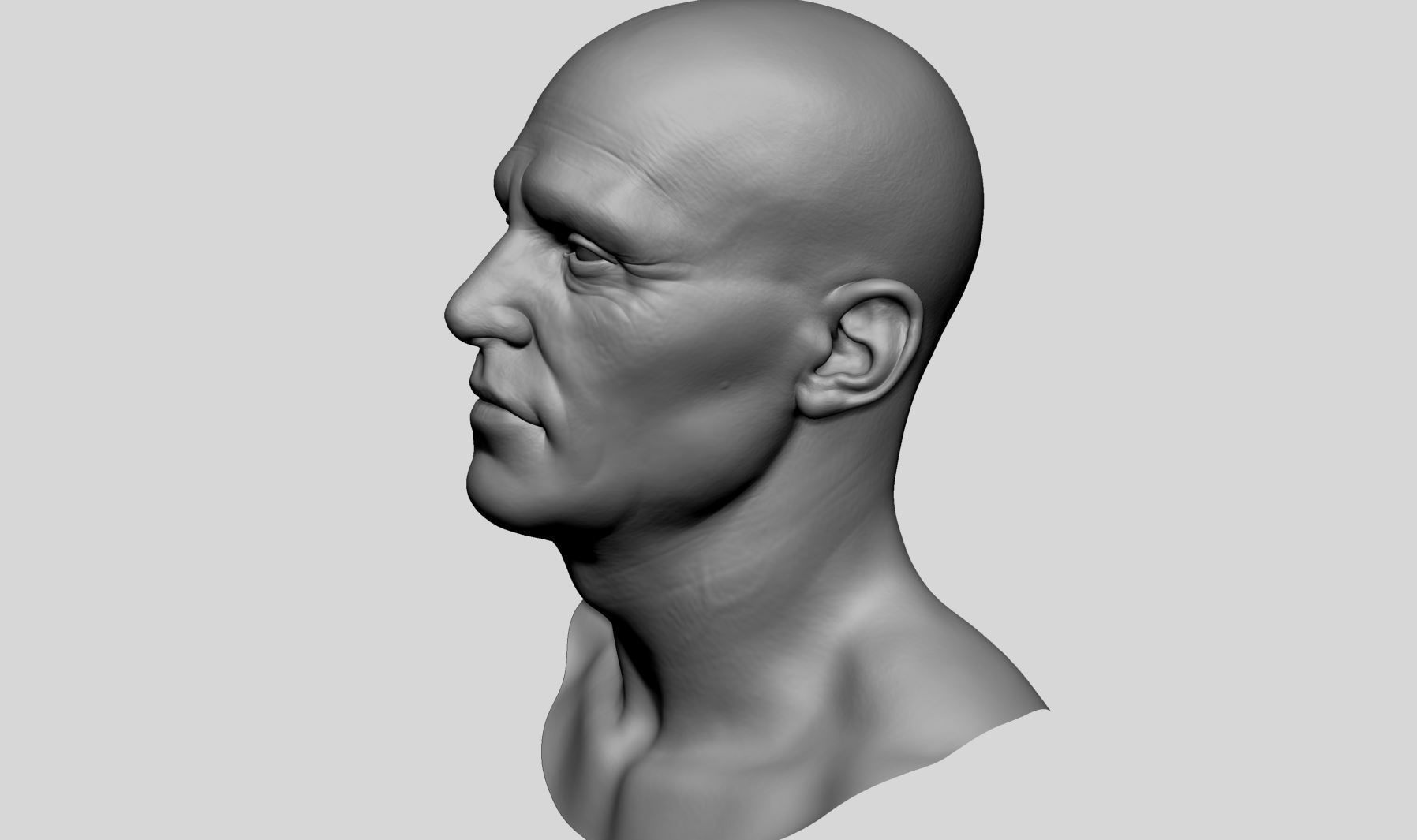Male Head v6 3D model_9