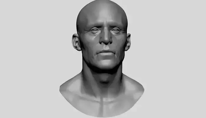 Male Head v6 3D model