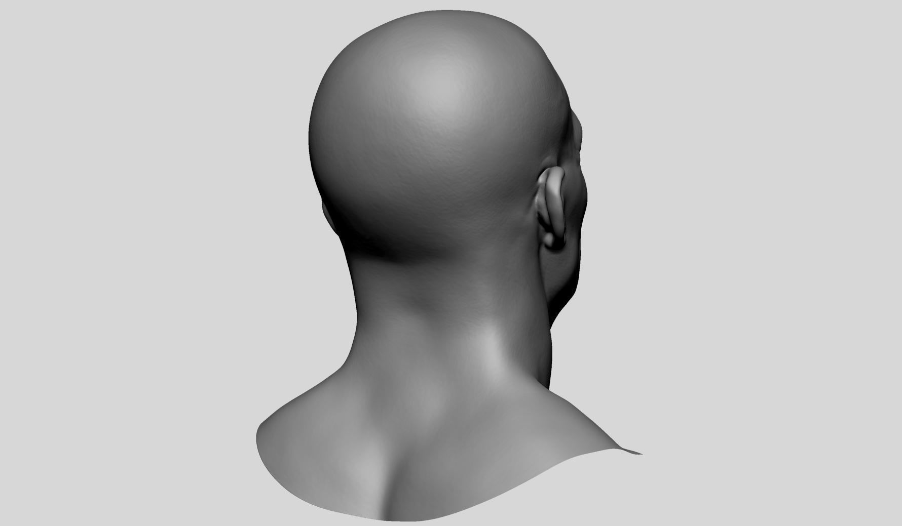 Male Head v6 3D model_5