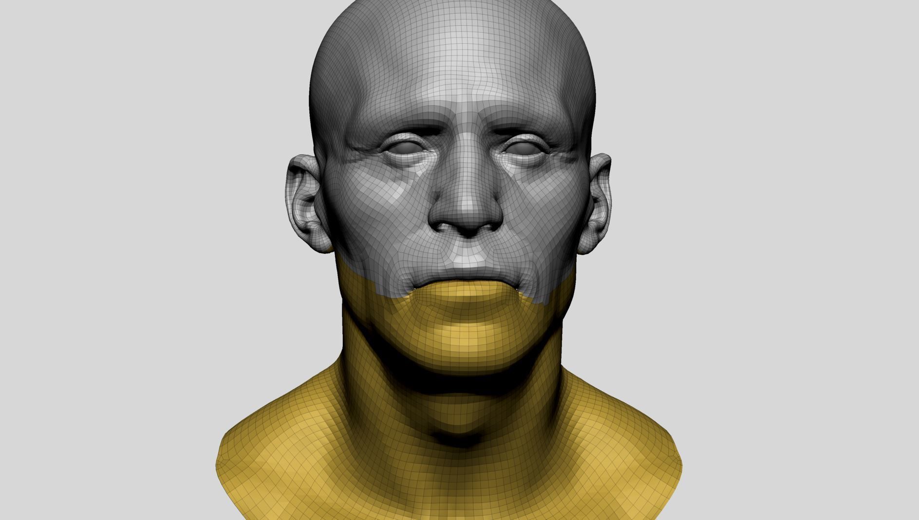 Male Head v6 3D model_12
