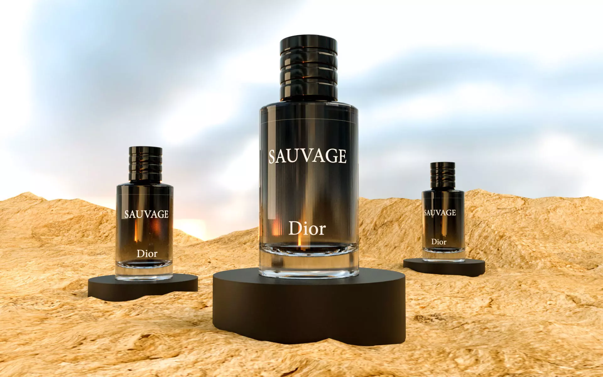 SAUVAGE Dior  3D model_0
