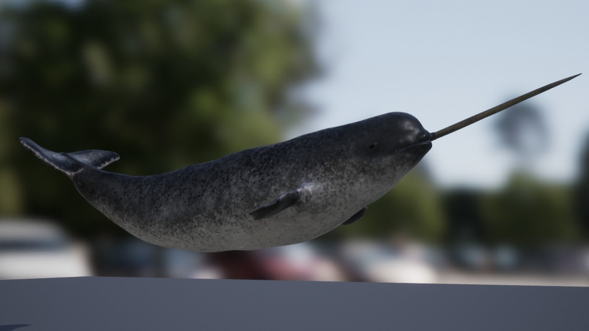 Narwhal Low-poly 3D model_13