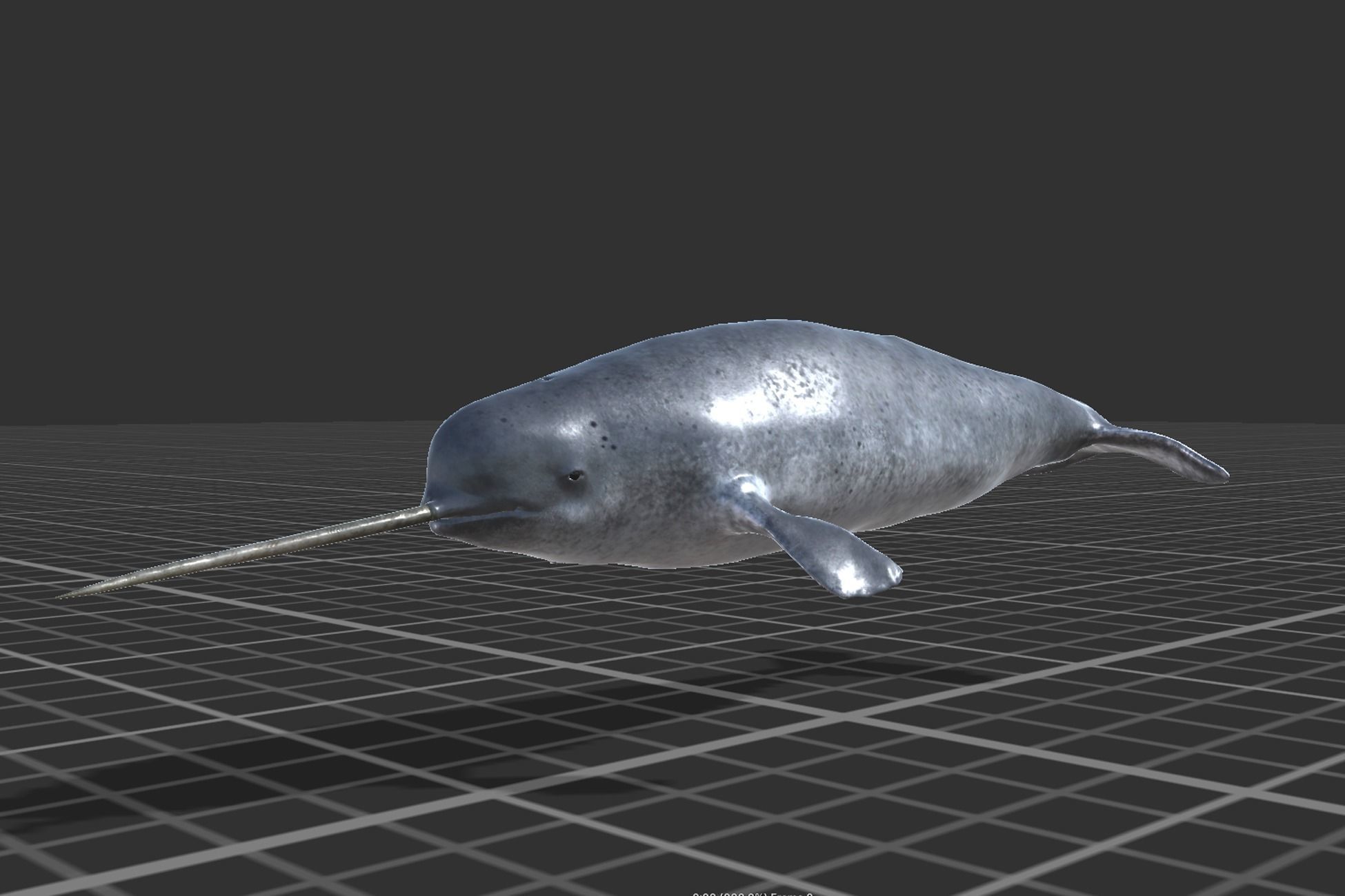 Narwhal Low-poly 3D model_4