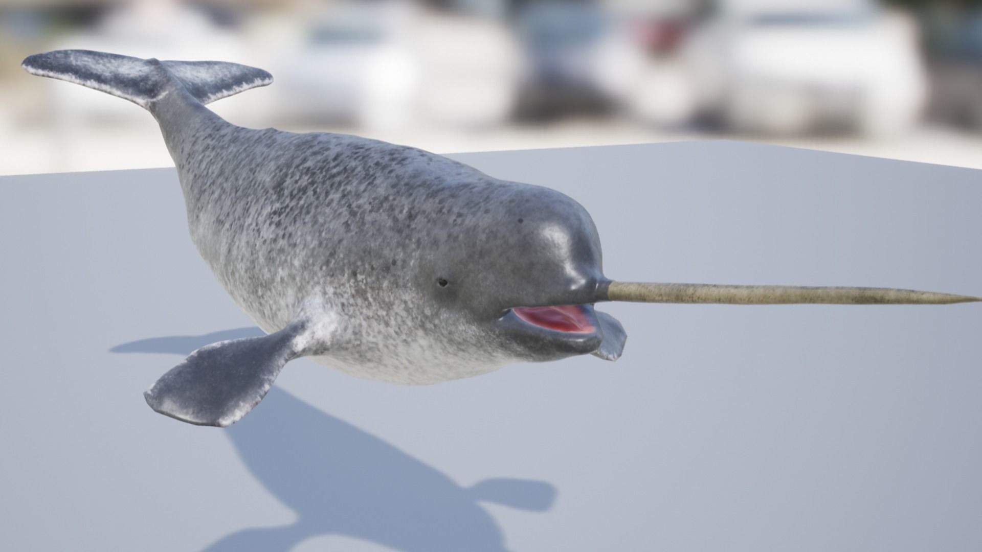 Narwhal Low-poly 3D model_12