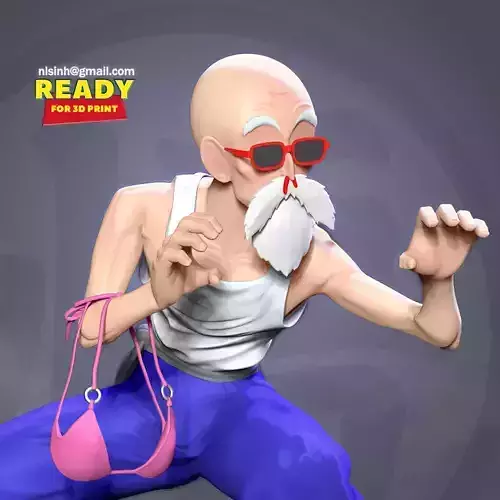 Master Roshi - Ready to fight