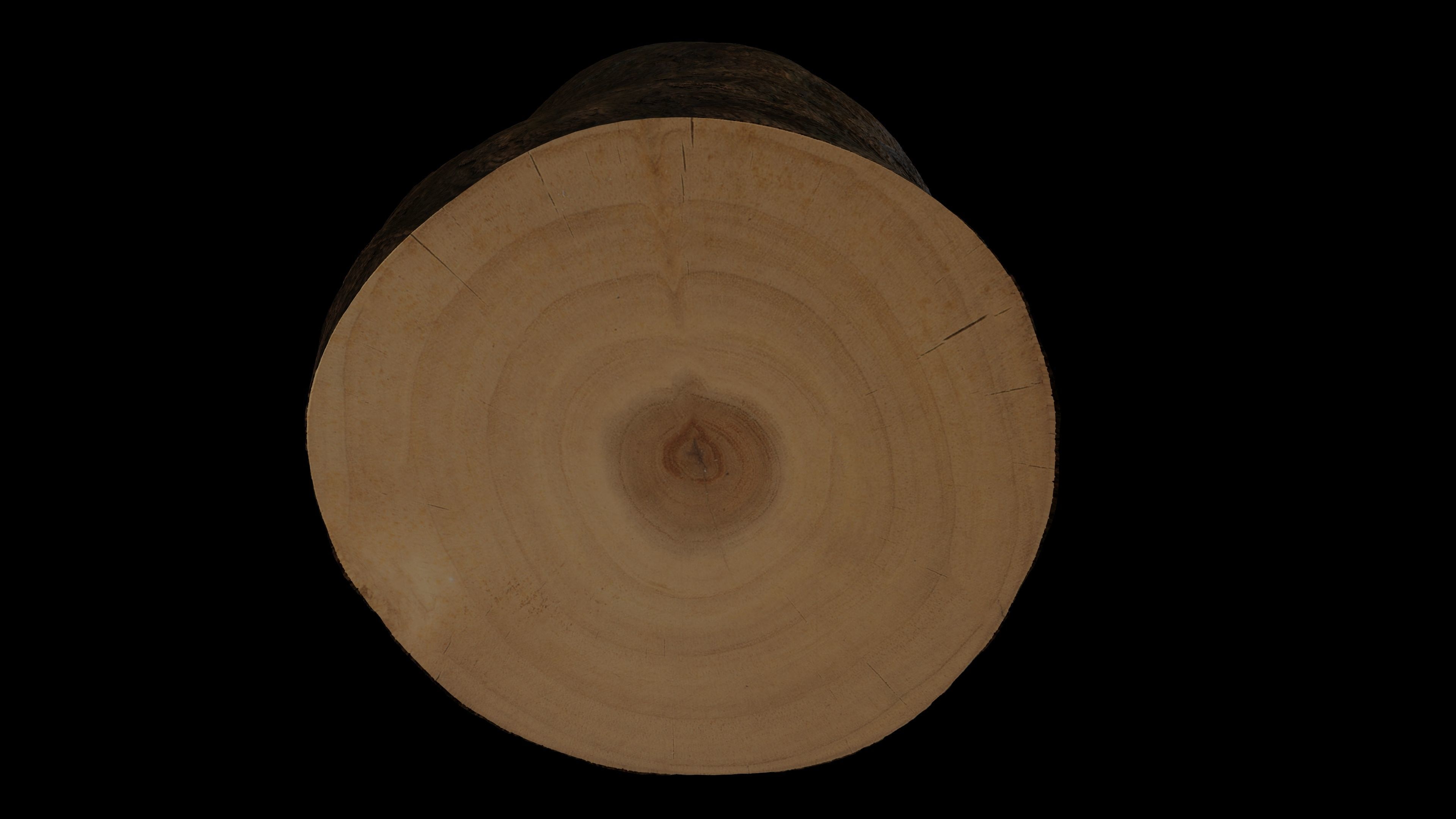 Tree Stump Low-poly 3D model_4