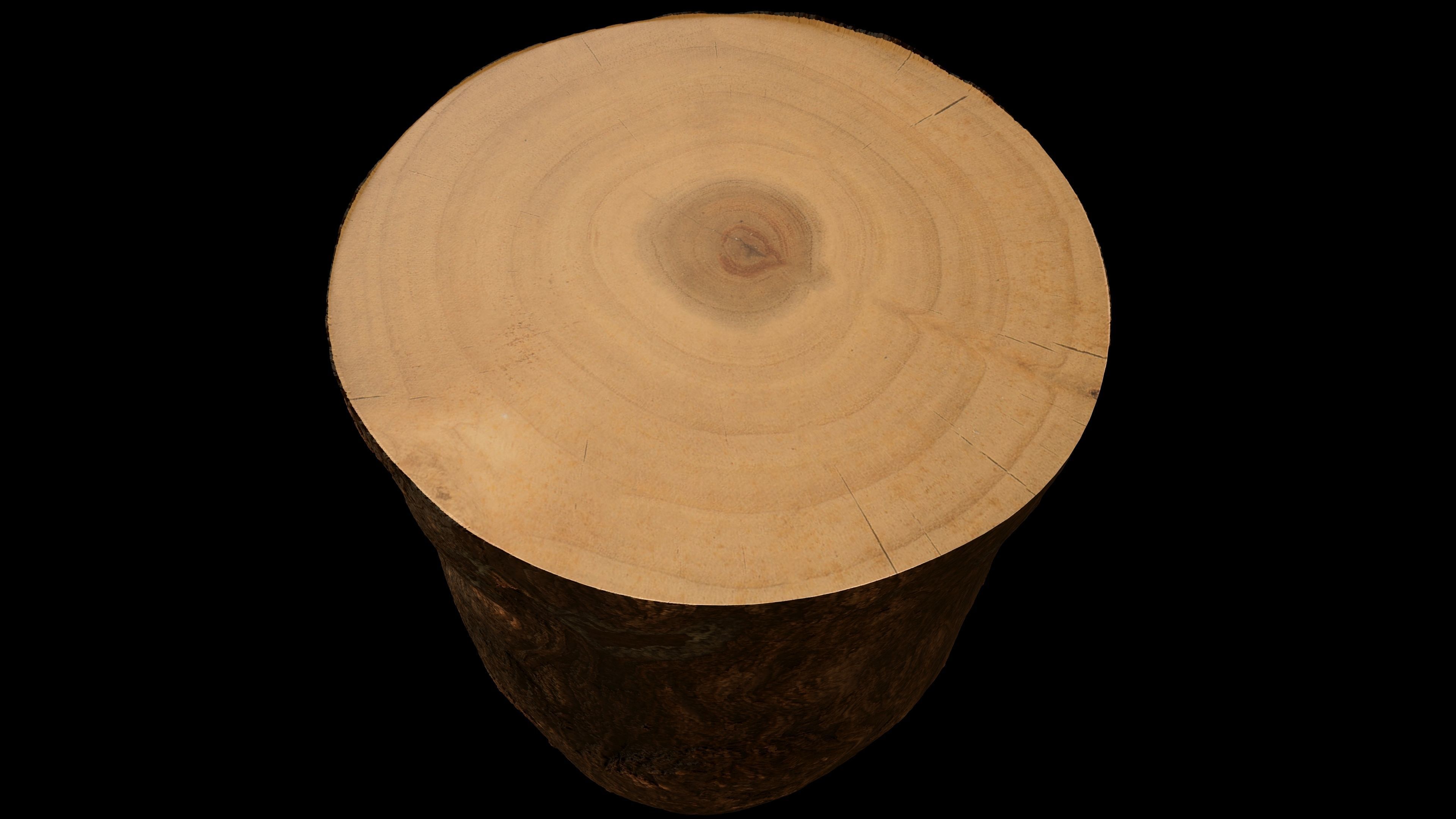 Tree Stump Low-poly 3D model_3