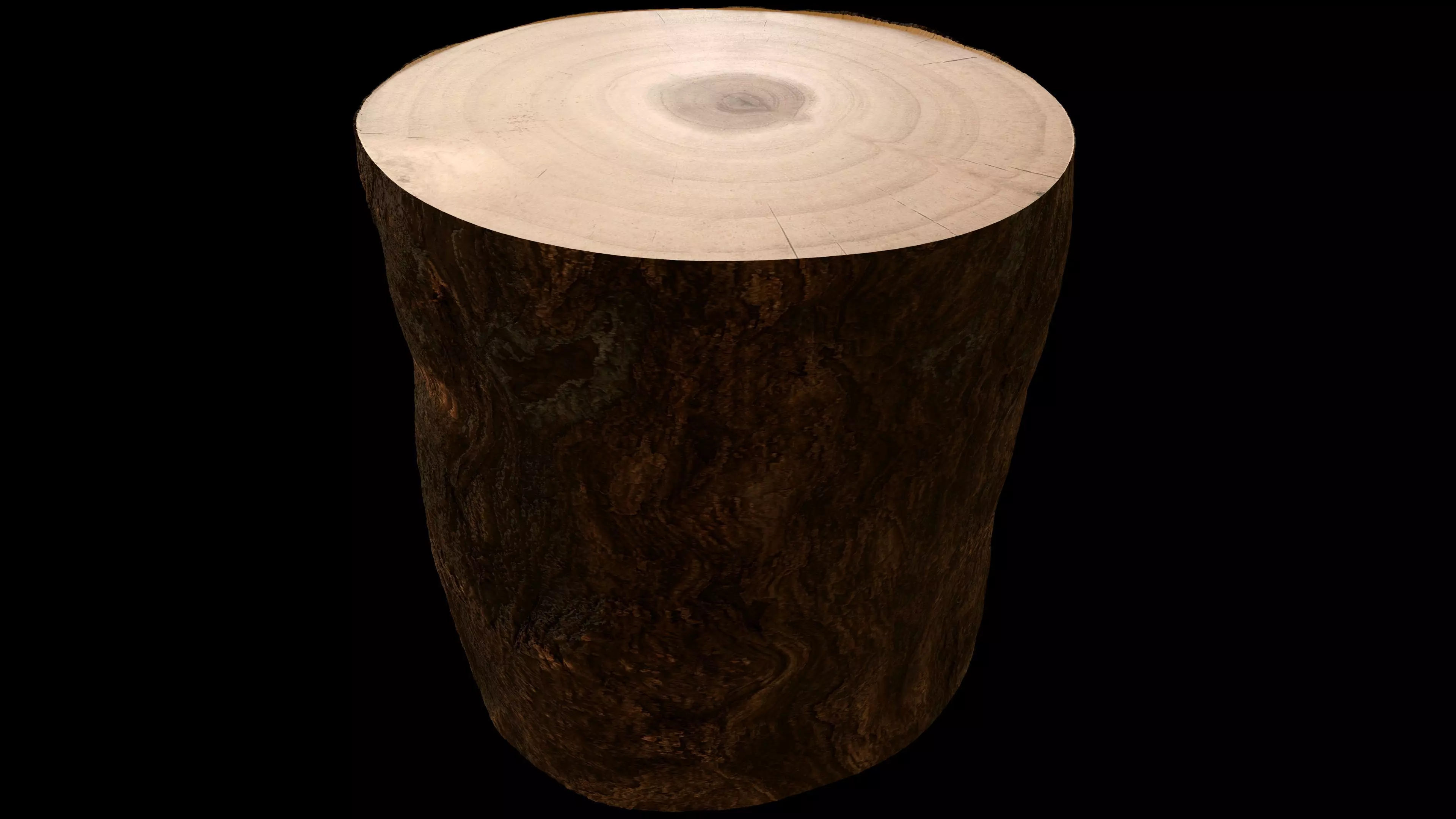 Tree Stump Low-poly 3D model_0