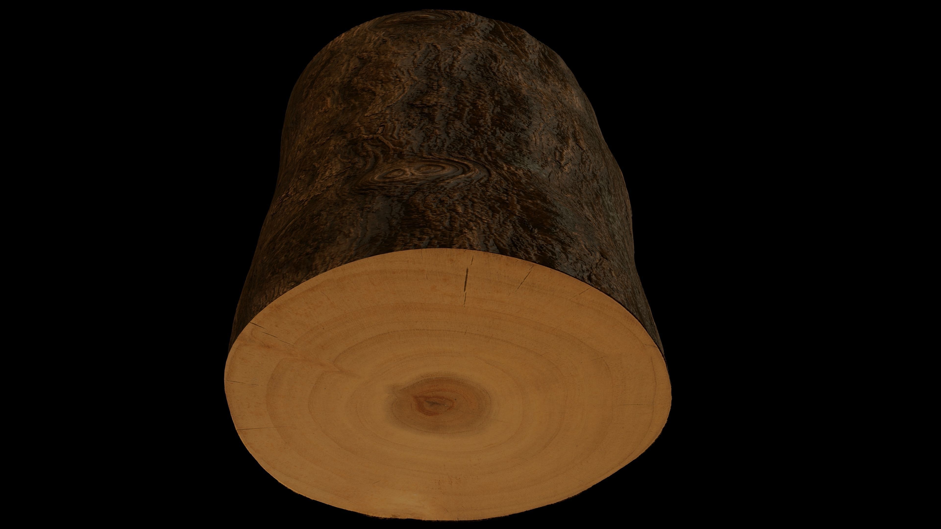 Tree Stump Low-poly 3D model_2