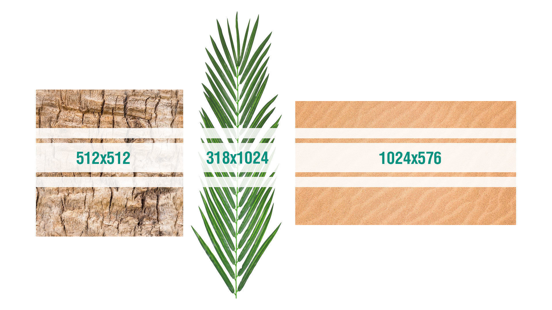 Three palms set 3D model_12