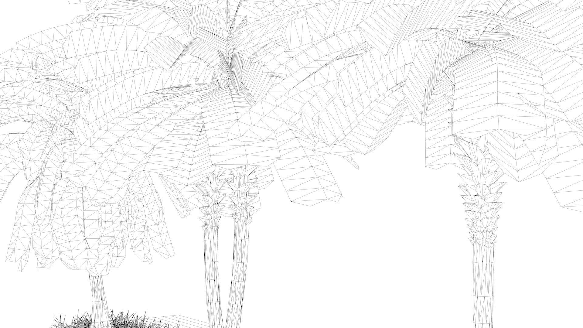 Three palms set 3D model_10