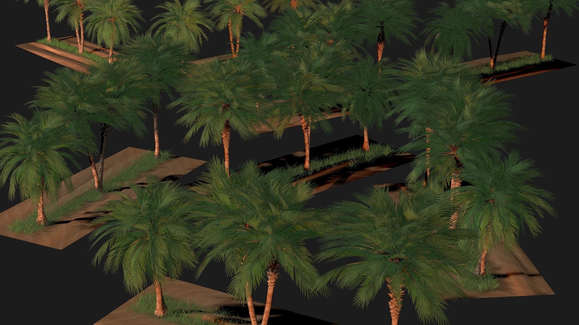 Three palms set 3D model_6