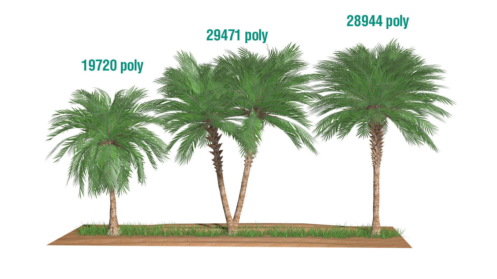 Three palms set 3D model_11
