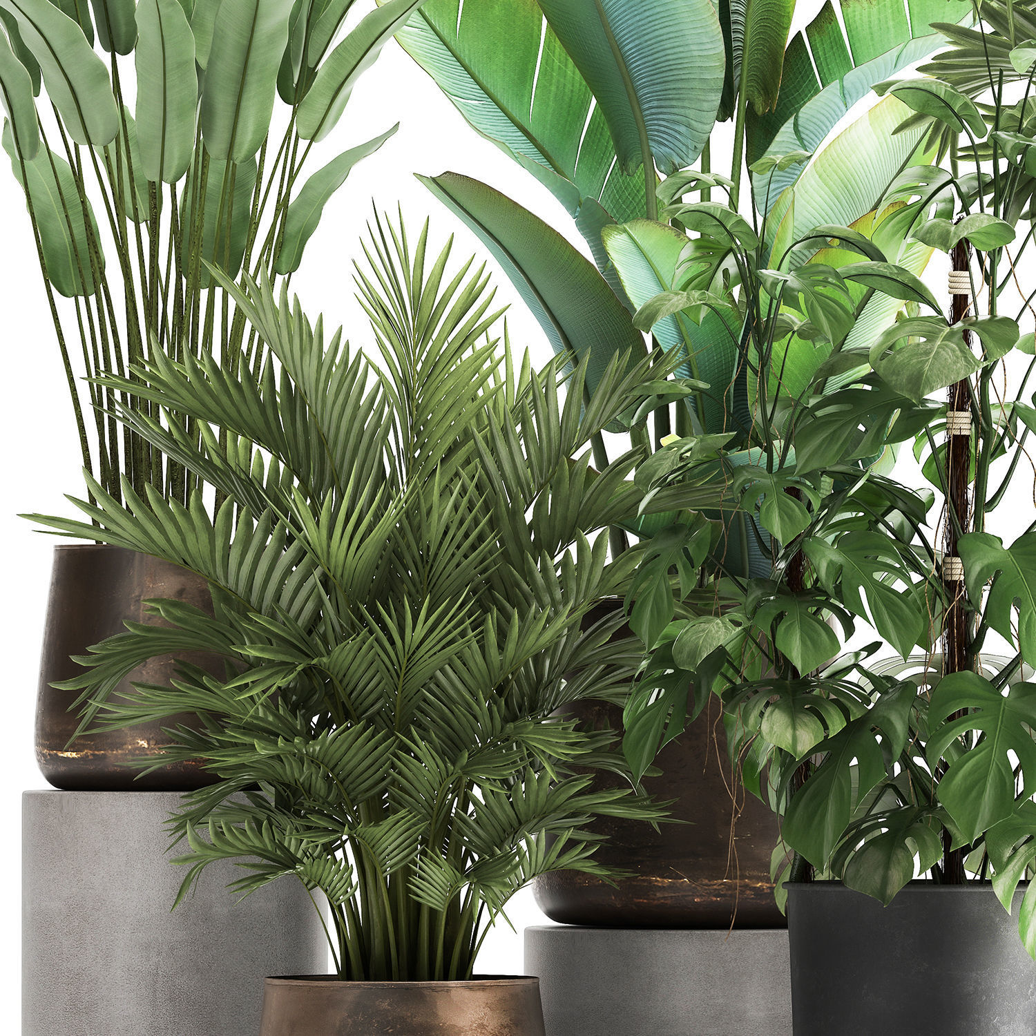 Houseplants in a flowerpot for the interior 1031 3D model_4